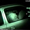 【 盗撮動画 】リアル感抜群ｗｗｗ深夜の駐車場でカーセックスするバカップルを赤外線盗撮！！！