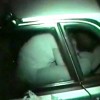 【 盗撮動画 】愛知のカーセックススポットに潜入してバカップルのＳＥＸを赤外線盗撮した調査記録ｗｗｗｗｗ