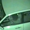 【 盗撮動画 】公園の駐車場で深夜カーセックスする素人カップルを死角から赤外線盗撮！！！